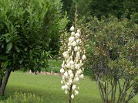 2012-06-10 13-18-32 - Motorradtour2012 136